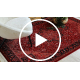 ORIENT Y307 tæppe bordeaux / sort Stel, klassisk, ornament, med frynser